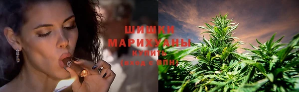 ECSTASY Каменногорск
