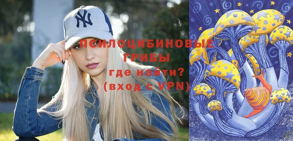 спиды Инта