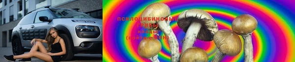 трава Новочеркасск