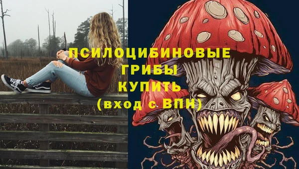 a pvp Инсар