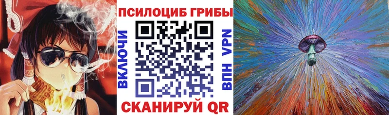 Купить  Покачи  Галлюциногенные грибы MAGIC MUSHROOMS 